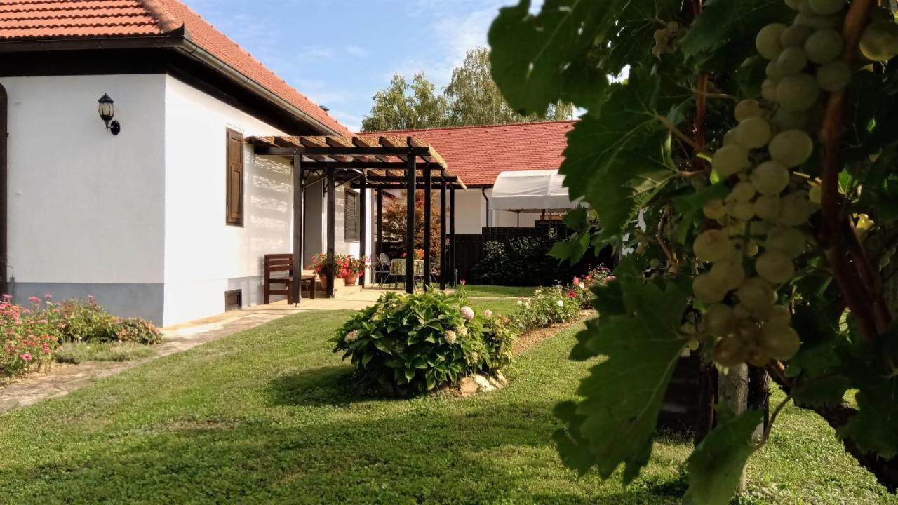Villa Pocitniska Hisa Kog Exterior foto